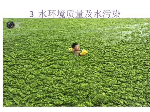 3 水环境质量及水污染
