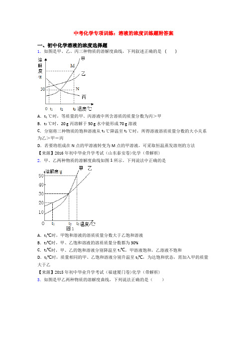 中考化学专项训练：溶液的浓度训练题附答案