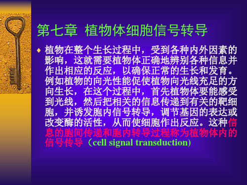 [第七章细胞信号转导]