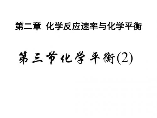 2-3化学平衡(2)3讲解