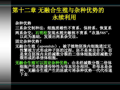 第12章 无融合生殖与杂种优势的永续利用