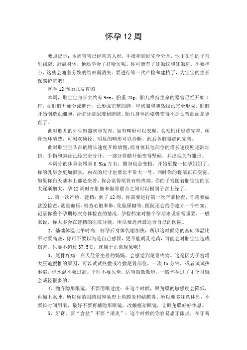 怀孕12周