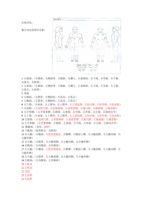 压疮部位名称(2016)