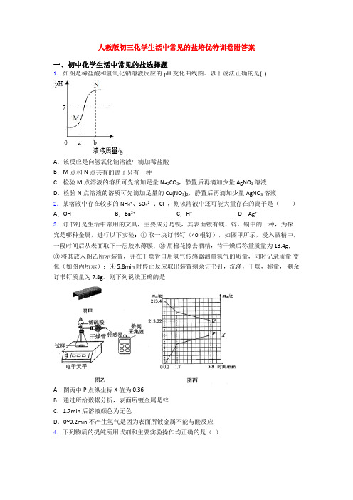 人教版初三化学生活中常见的盐培优特训卷附答案