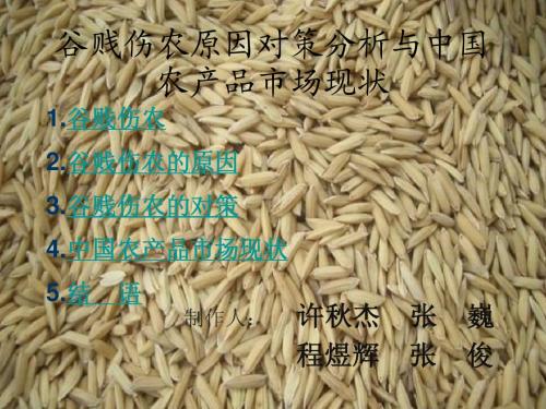 谷贱伤农原因对策分析与中国农产品市场现状