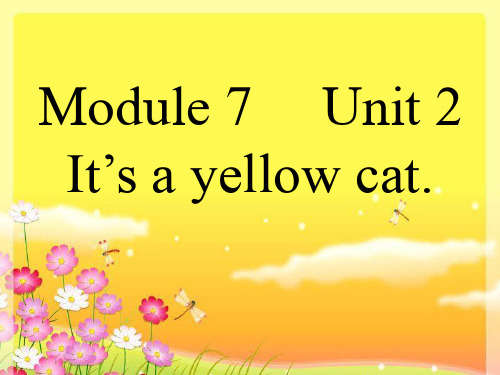 外研版英语一年级上册Module 7《Unit 2 It’s a yellow cat》ppt课件1