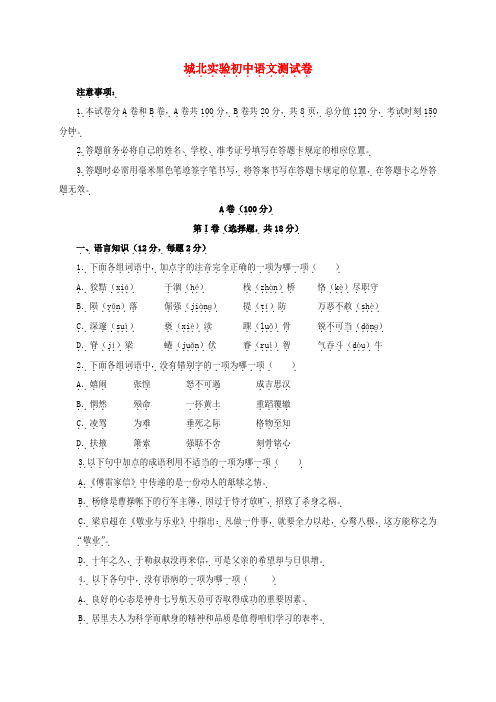 九年级语文上学期第三次月考试题新人教版