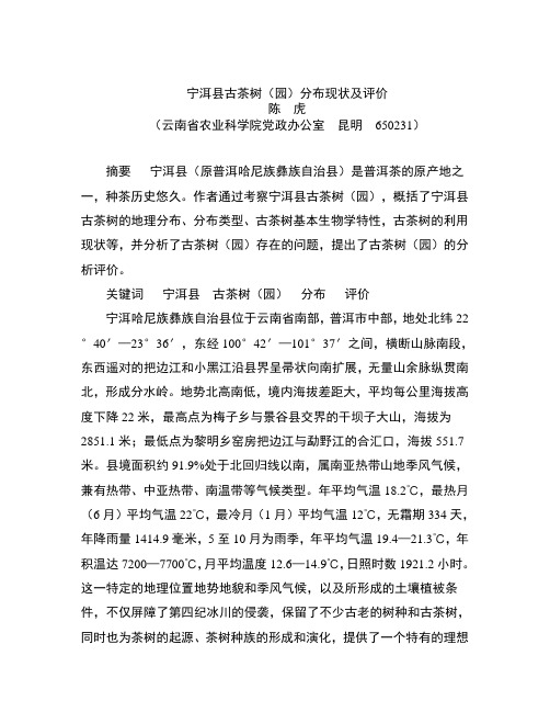 古茶树论文