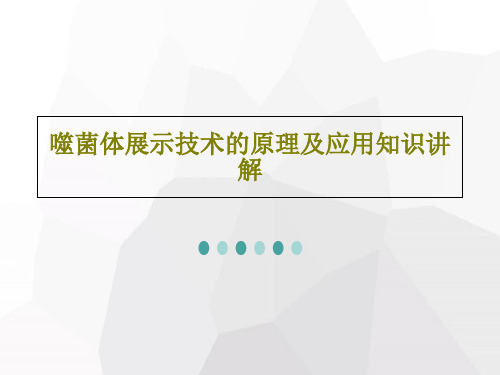 噬菌体展示技术的原理及应用知识讲解45页PPT