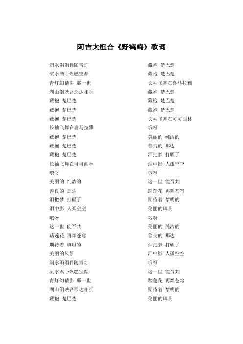 阿吉太组合《野鹤鸣》歌词(专辑：野鹤鸣)