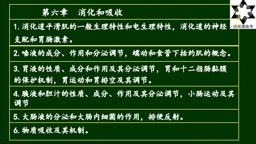 6.消化和吸收