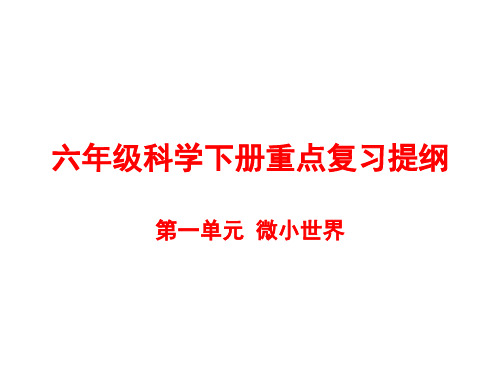 六年级科学下册重点复习提纲