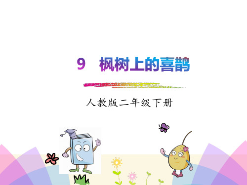 《枫树上的喜鹊》(完美版)PPT课件