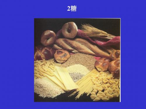 2糖类的化学