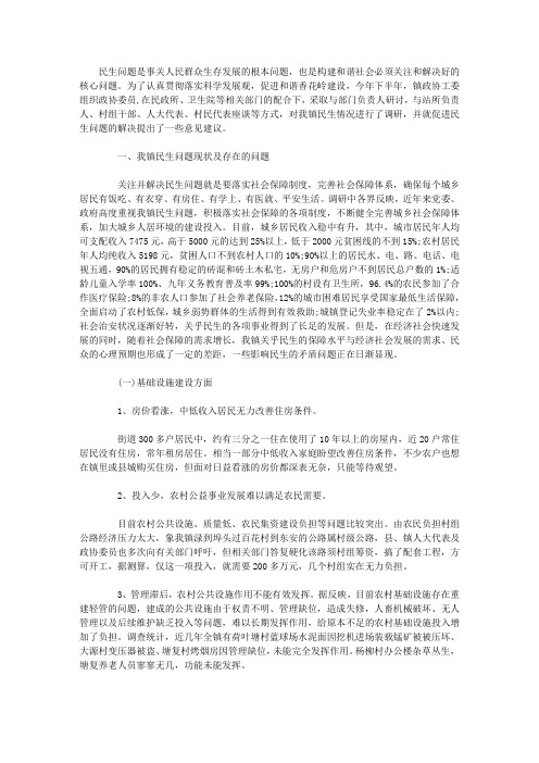 民生问题调查报告范文