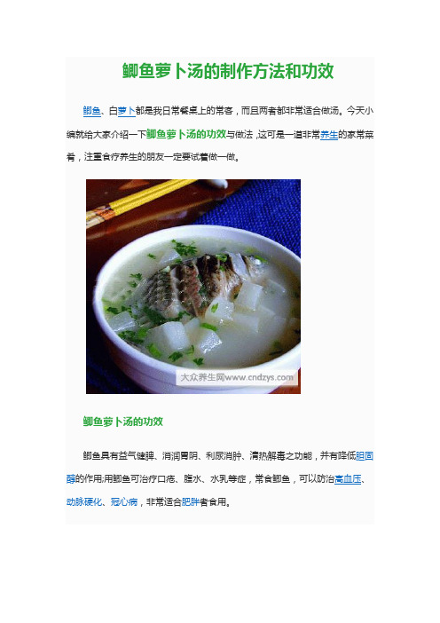 鲫鱼萝卜汤的制作方法和功效