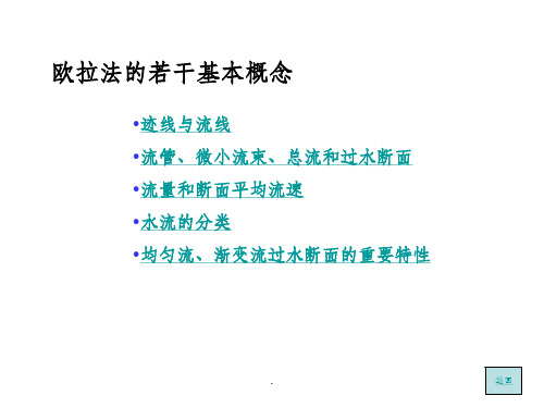 欧拉法的若干基本概念ppt课件