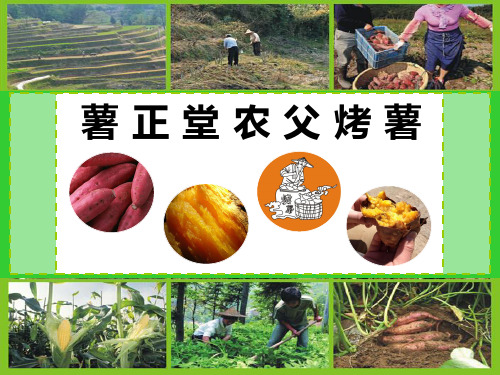薯正堂农父烤薯