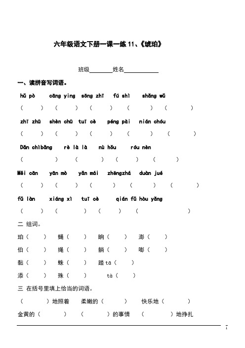 语文六年级下北师大版《琥珀》课课练