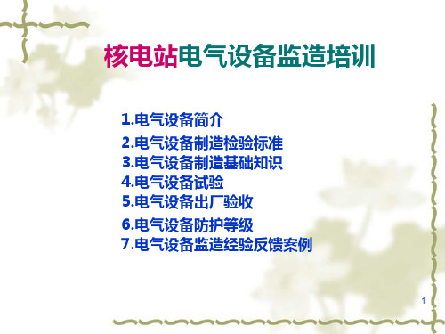电气设备监造培训(10115)PPT课件
