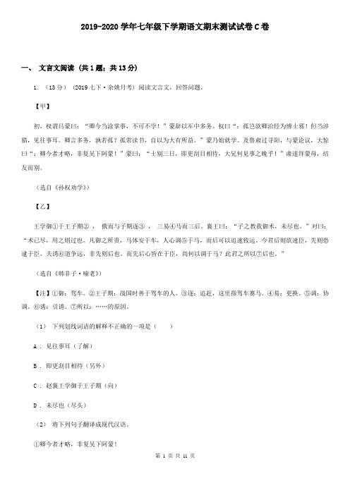 2019-2020学年七年级下学期语文期末测试试卷C卷