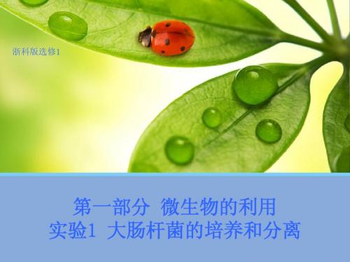 【新步步高】高二生物浙科版选修1课件：1.1 大肠杆菌的培养和分离