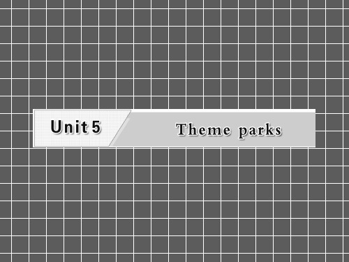 2013届高三英语复习专题课件Unit5Themeparks(新人教版必修4)