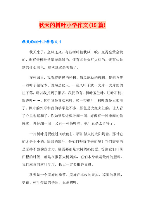 秋天的树叶小学作文(15篇)