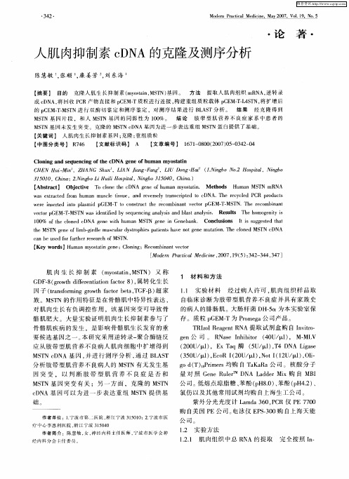 人肌肉抑制素cDNA的克隆及测序分析