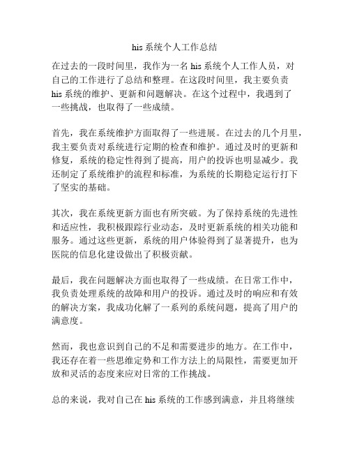 his系统个人工作总结