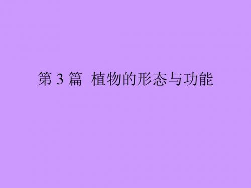 2-第3篇 植物的形态与功能_组织与营养器官