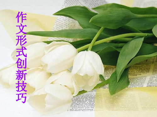 作文形式的创新PPT精品课件