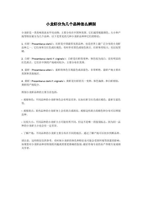 小龙虾分为几个品种怎么辨别