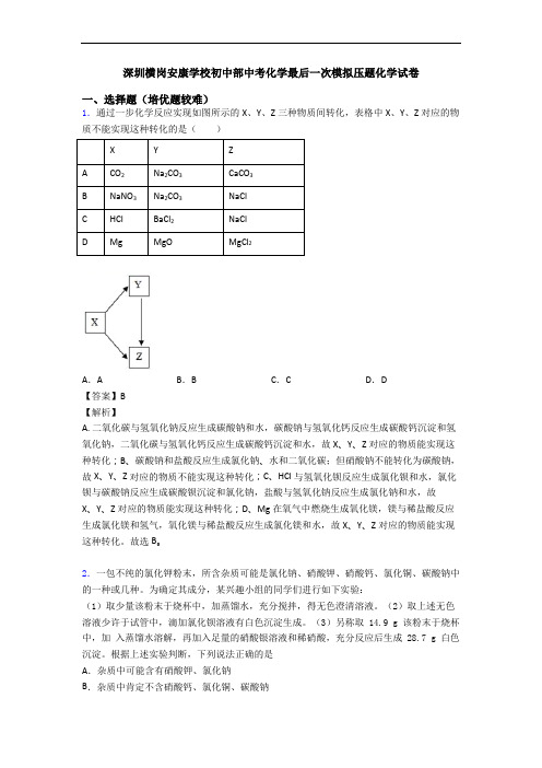 深圳横岗安康学校初中部中考化学最后一次模拟压题化学试卷
