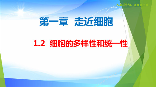 新人教版高中生物必修一第一章第二节细胞的多样性和统一性(共34张PPT)