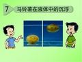 7马铃薯在液体中的沉浮