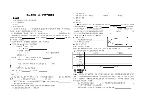 光合作用和呼吸作用导学案