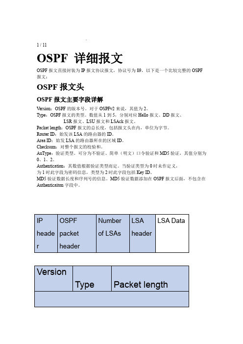 OSPF详细报文