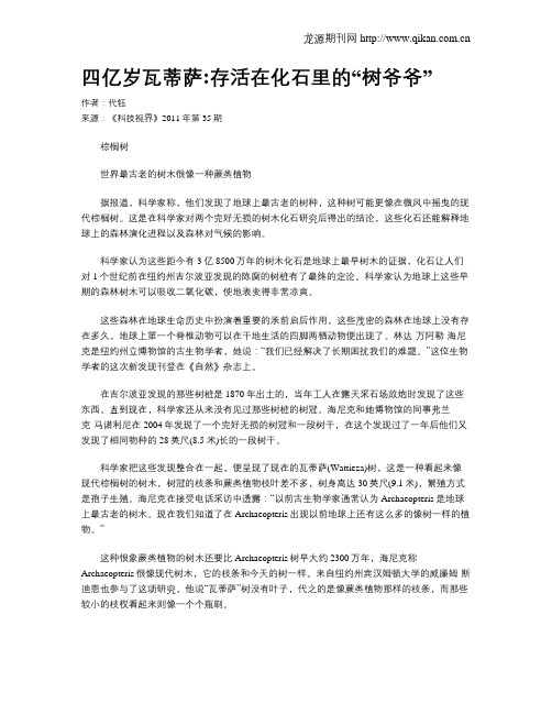 四亿岁瓦蒂萨存活在化石里的“树爷爷”