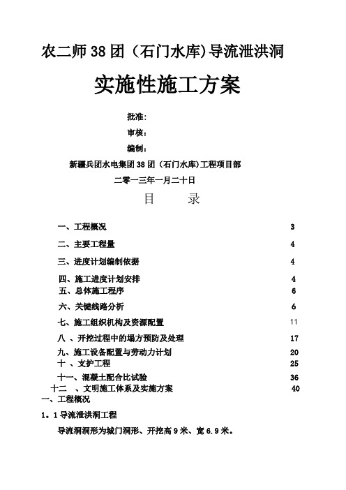 导、泄洪洞施工计划及方案