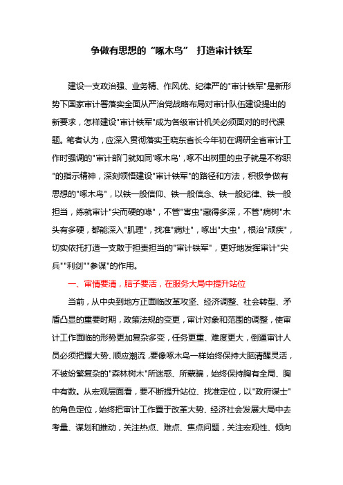 争做有思想的“啄木鸟” 打造审计铁军