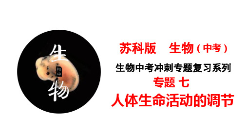 专题07 人体生命活动的调节(课件)中考生物二轮复习(二轮专题复习)