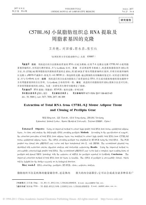 C57BL_6J小鼠脂肪组织总RNA提取及周脂素基因的克隆