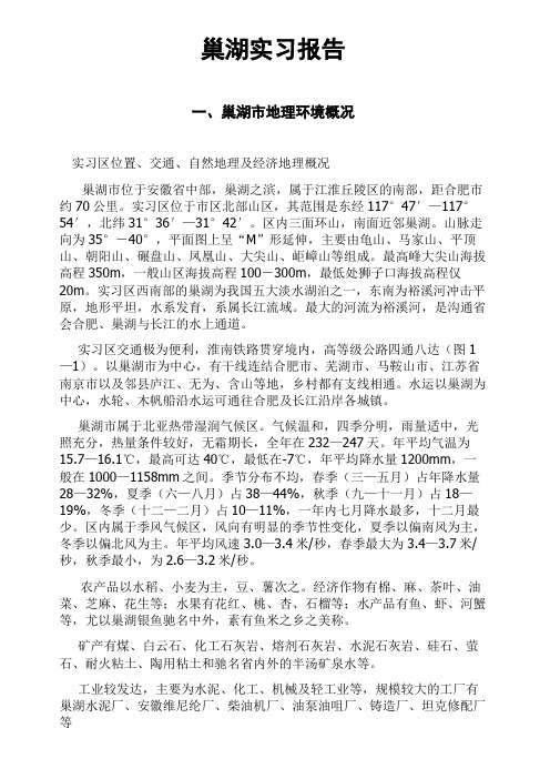 巢湖地质实习报告