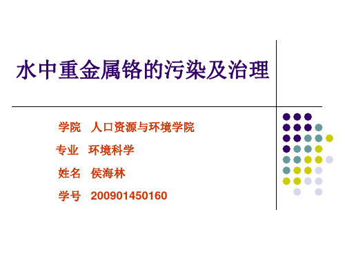 重金属铬在水中的污染及其治理2