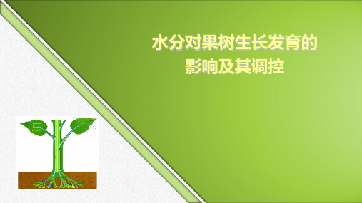 水分对果树的影响
