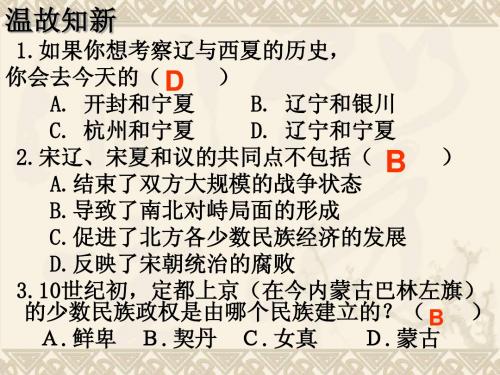 第11课_宋金南北对峙【北师大版】