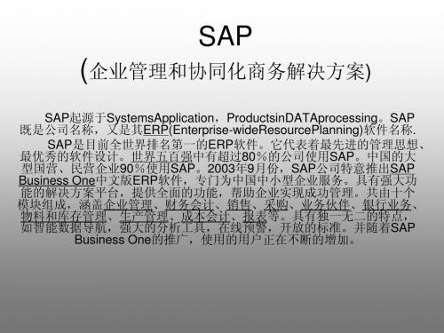 SAP简介