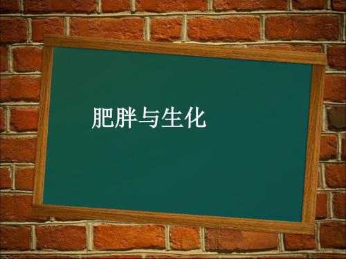 肥胖与生化PPT课件
