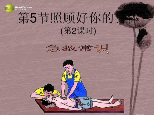 浙江省湖州市第四中学九年级科学下册 照顾好你的身体第二课时 急救与血型课件 浙教版